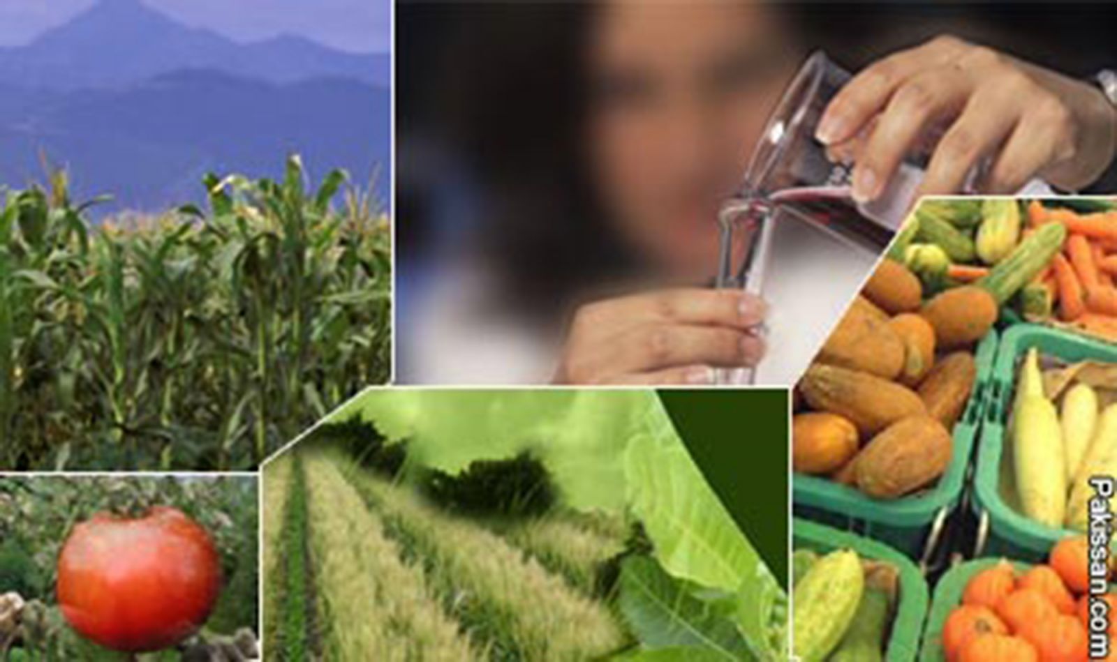 importance of biotechnology in agriculture