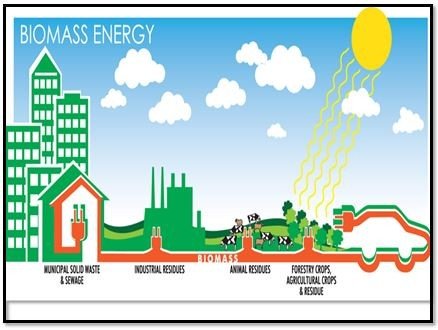 Biomass and Its Environmental impact – AgriHunt