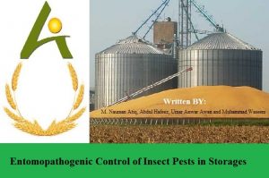 lt_birth_of_plant_co_45_powerpoint_templates_title_slide-Copy (1)