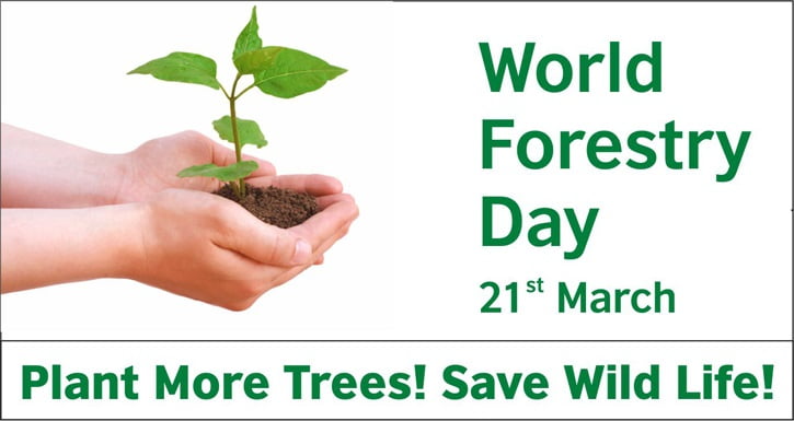 world-forest-day-and-pakistan