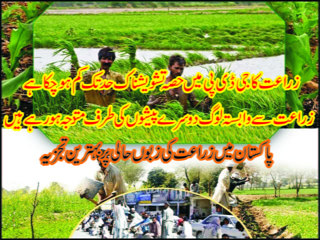 agriculture-in-pakistan