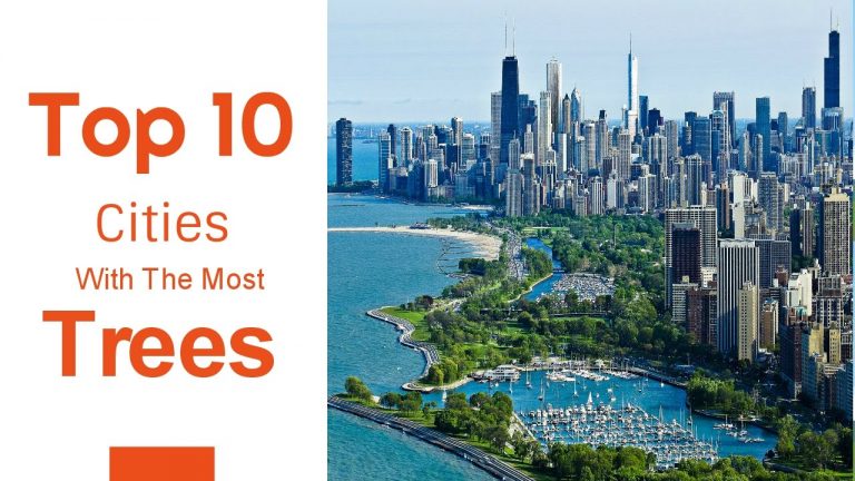 top-ten-cities-in-world-with-most-trees
