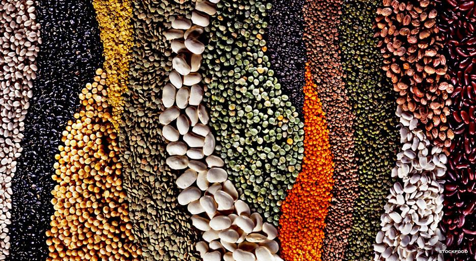 pulses-in-pakistan