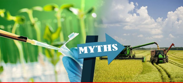 Three-big-myths-about-modern-agriculture