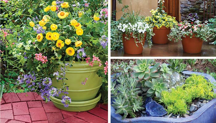 Container-Gardening-by-saad-ur-rehman